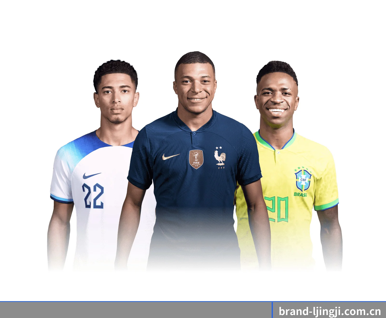 五大垂直索引入口 · 砍掉繁复层级直抵数据腹地